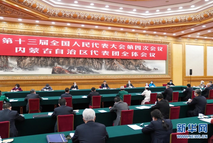 3月5日，中共中央总书记、国家主席、中央军委主席习近平参加十三届全国人大四次会议内蒙古代表团的审议。新华社记者 李学仁 摄