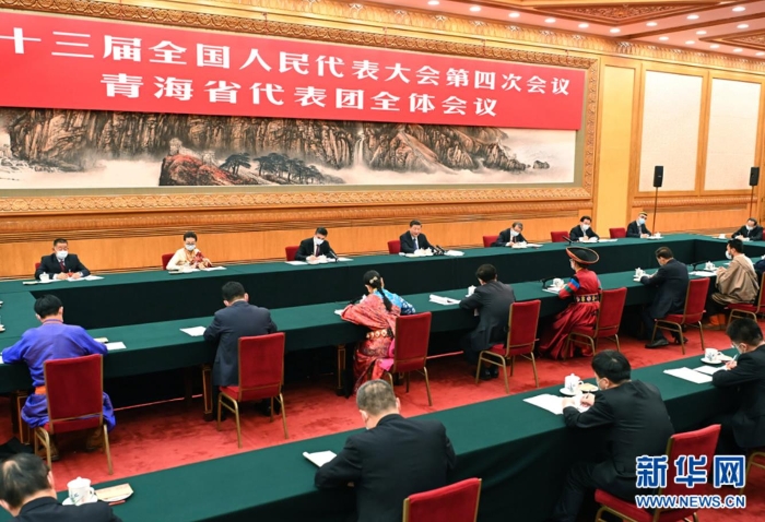 3月7日，中共中央总书记、国家主席、中央军委主席习近平参加十三届全国人大四次会议青海代表团的审议。新华社记者 李涛 摄