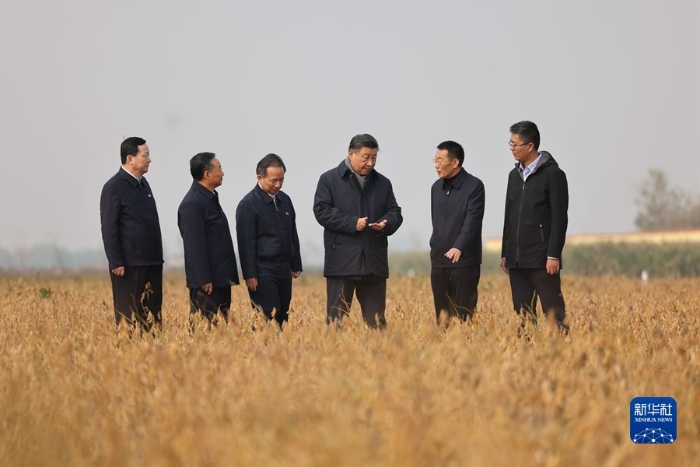 10月22日下午，中共中央总书记、国家主席、中央军委主席习近平在山东省济南市主持召开深入推动黄河流域生态保护和高质量发展座谈会并发表重要讲话。这是座谈会前，习近平21日上午在东营市黄河三角洲农业高新技术产业示范区考察时，走进田间察看大豆长势。 新华社记者 王晔 摄