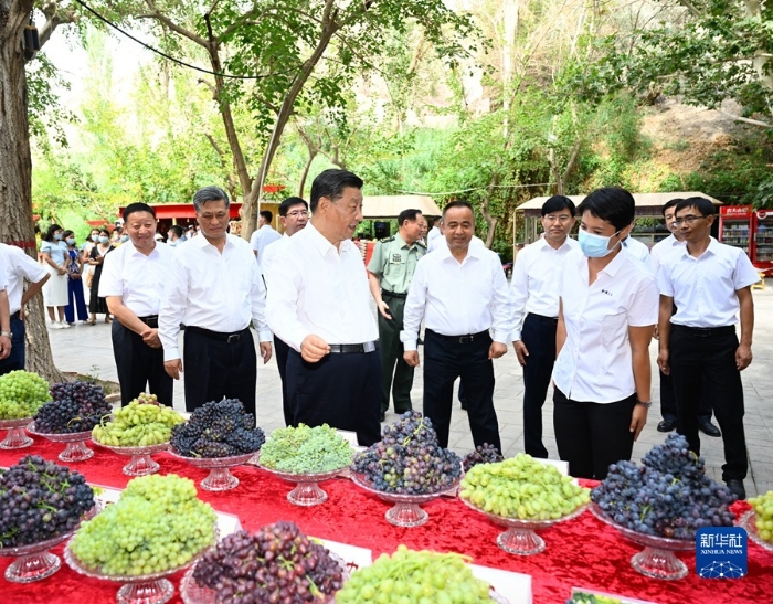 7月12日至15日，中共中央总书记、国家主席、中央军委主席习近平在新疆考察。这是14日，习近平在吐鲁番市葡萄沟察看吐鲁番特色水果展示，了解当地发展葡萄特色产业、促进文旅融合发展等情况。新华社记者 李学仁 摄